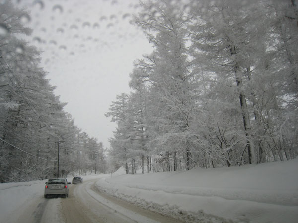 雪雪雪・・・はぁ・・